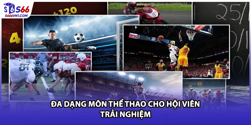 Đa dạng môn thể thao cho hội viên trải nghiệm
