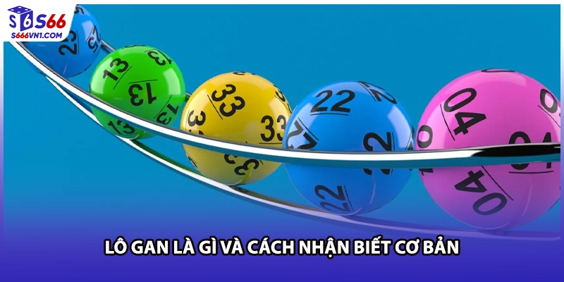 Lô gan là gì và cách nhận biết cơ bản